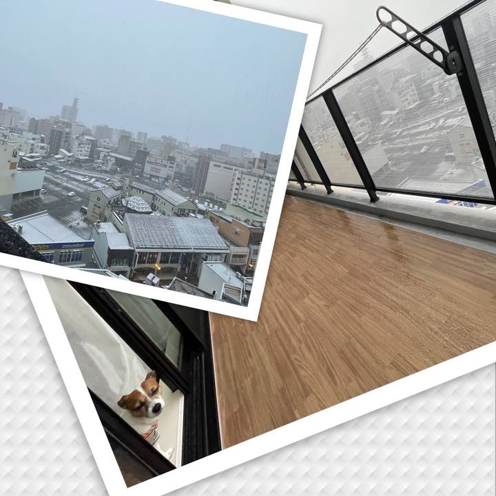 Ab90bc60 ecbe 4982 83fd 3a49d3a43328 1740957646294