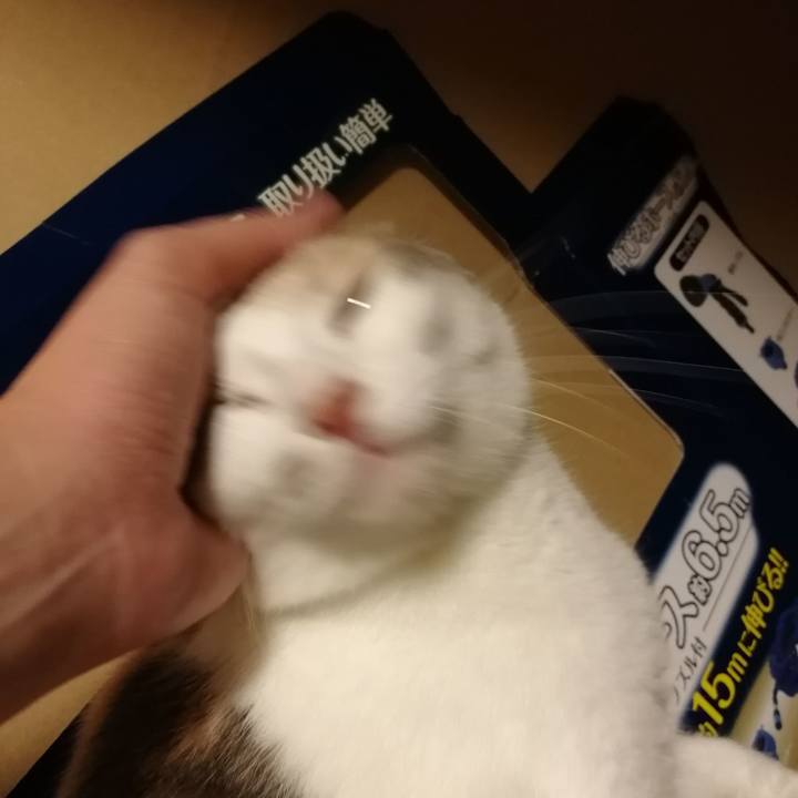 Ab90c06b f832 4cd9 8a96 655d34a8f1a7 1538702567586