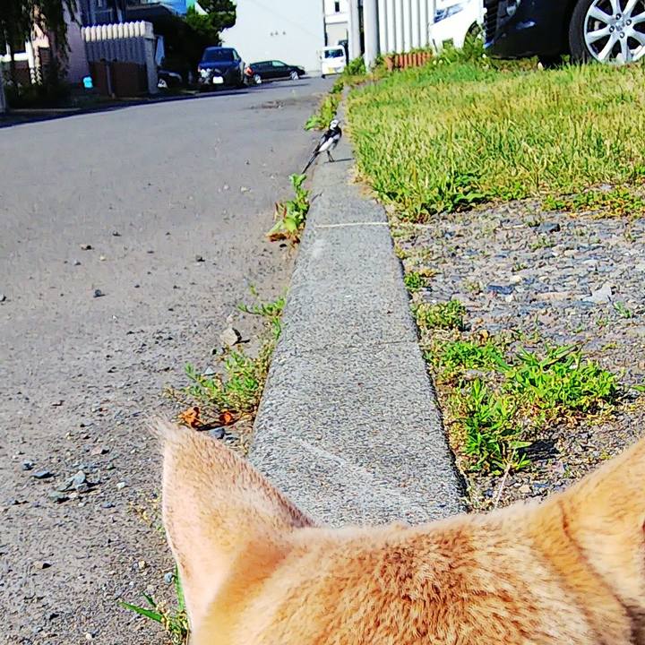 Ab90d13c 011f 46bc b02e 0438034bd1da 1563665664576