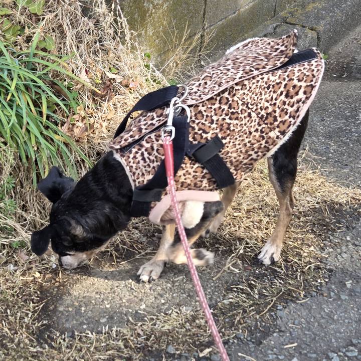 Ab90d246 1eec 4c63 8b38 d361a483f7b1 1772153107648