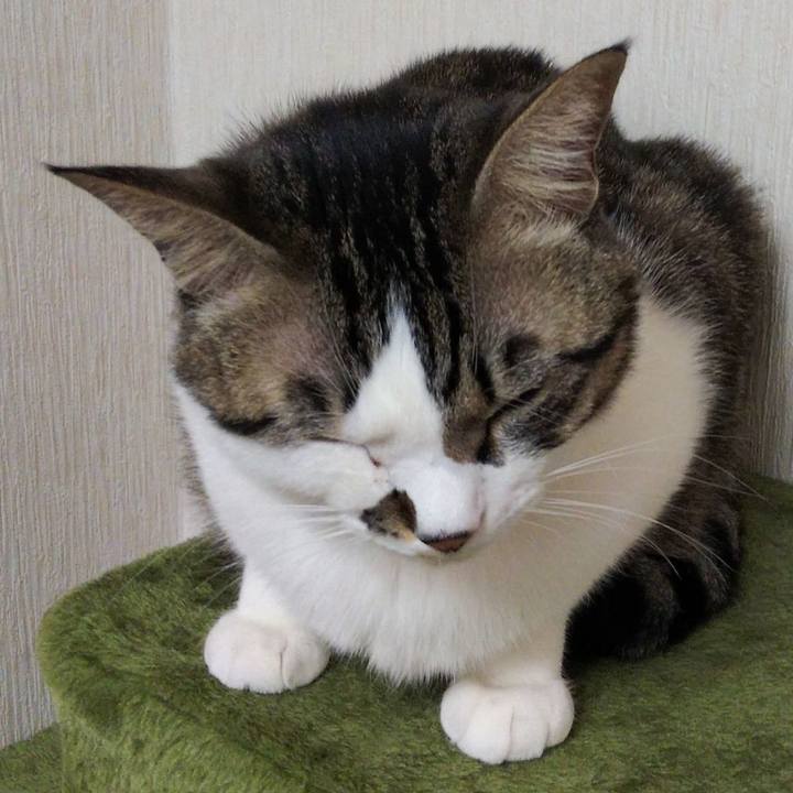 Ab90dfdc 2f4f 4268 bf29 00bba0d886df 1640436445826