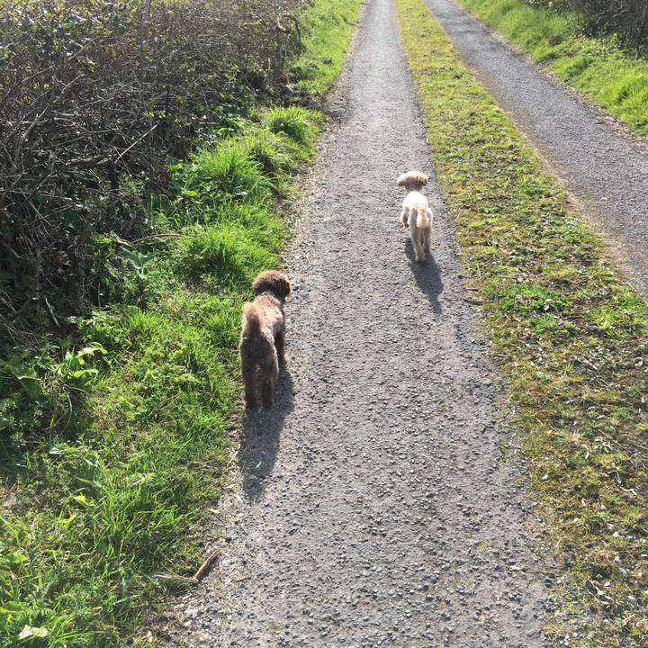 Ab910e35 51d4 4714 94f5 bb40220b92e6 1554050985101