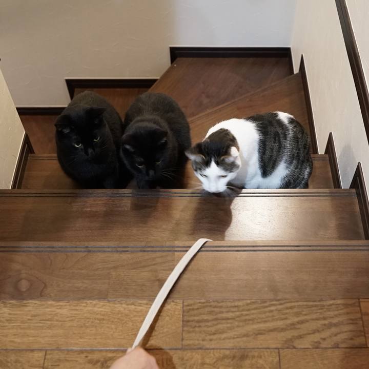 Ab911caa beee 4076 a771 ab7e9a3750b7 1564442915233