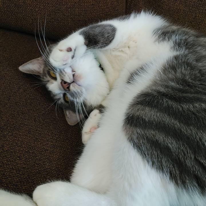 Ab913127 efcf 4ca8 be79 8e90ae58f776 1582866044732