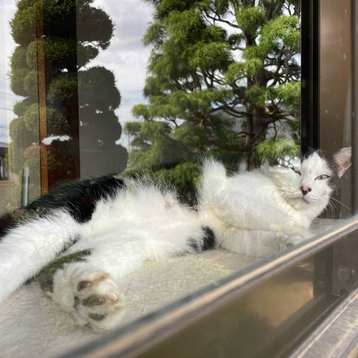 Ab913876 6794 495b abe4 b8954ff7d56d 1695530716586