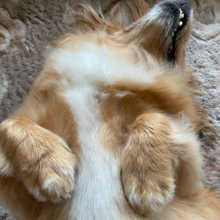 Ab915b82 0499 4c3e 96bc e116d732a617 1593309775038