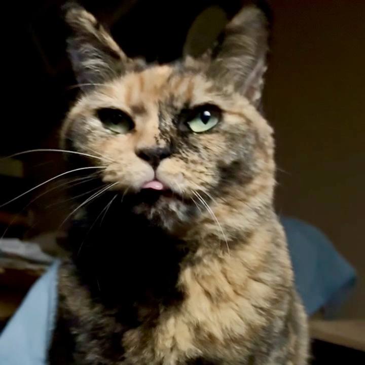 Ab919853 5b8b 4488 a6ae 9c57dd2e1d65 1761990995933