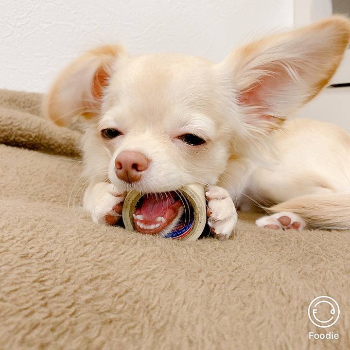 Ab91c29a cf1a 4dbf a665 6622c0b04b74 1601777997891