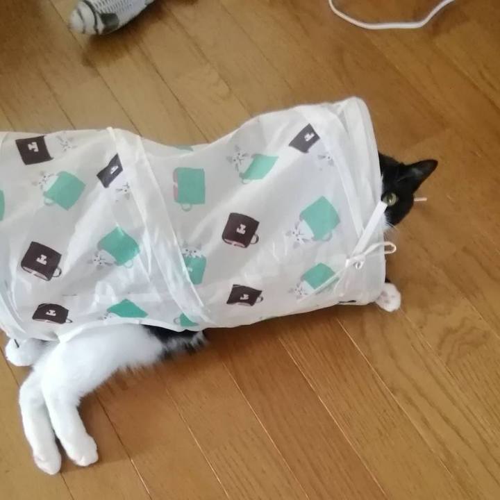 Ab91ce07 9d59 4e58 bb35 c42d80ca2549 1558089402982