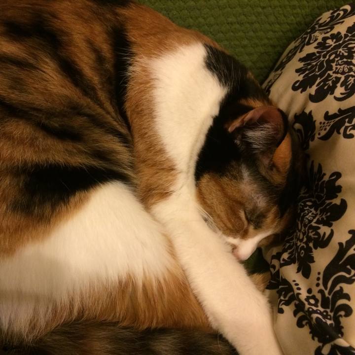 Ab91d7fa eb14 4714 a530 b21a09860fcb 1507974439122