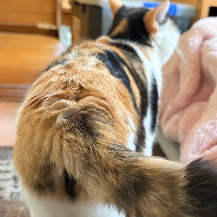 Ab920039 6e09 4a77 a06d ed91df615f77 1764557129669