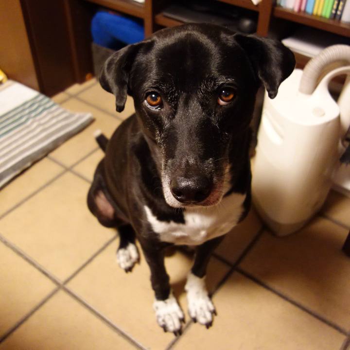 Ab9201fe 5b53 4366 b67d 29e26650e2b9 1729212187940