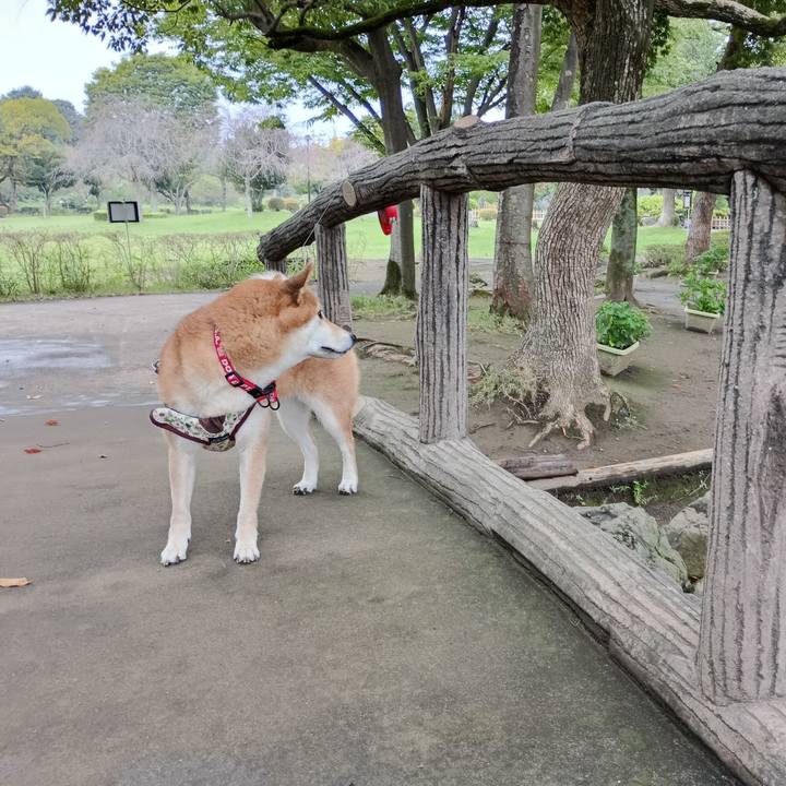 Ab922f40 e504 4142 8c9f 3829a89e7849 1758432717015