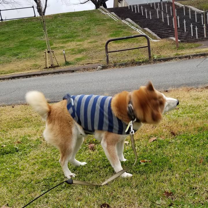 Ab926a2e f9e4 41bc 9385 b633964c2247 1670220097315