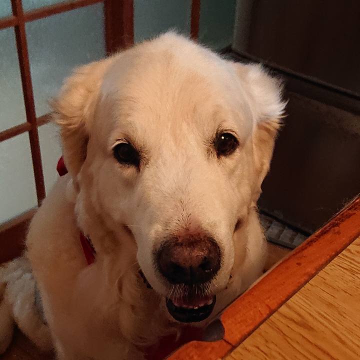 Ab9286c7 fc6c 4d17 85bc 42fb3987ee4e 1567772695042