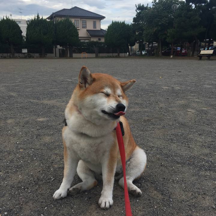 Ab9290c6 345d 43d4 a951 b4deef65a8e0 1600385727484