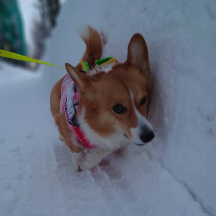 Ab92a959 031b 4c2a a649 40fe76b1ff35 1769471216068