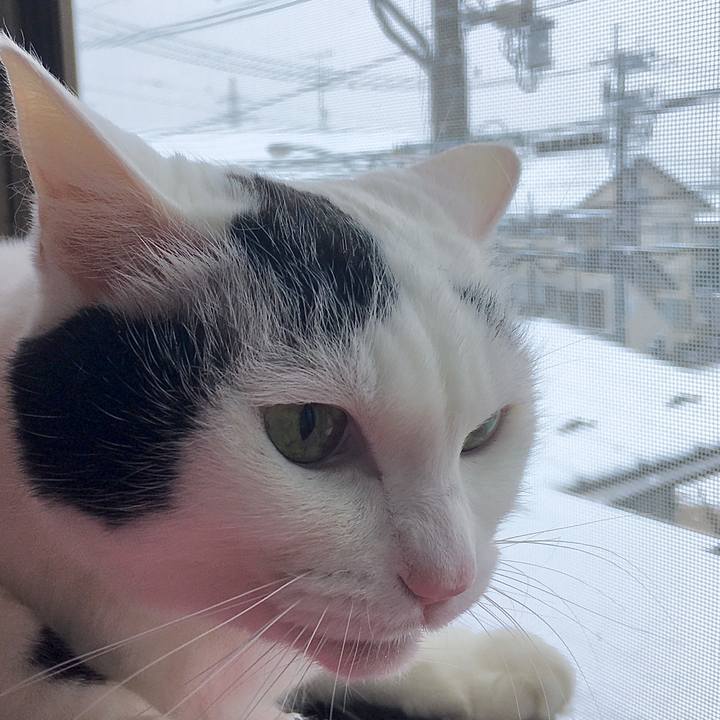 Ab92b175 568a 4726 8a71 b954ce54955c 1608017124260