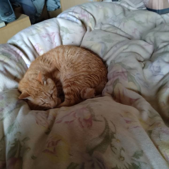 Ab92c0c4 39ff 41ee bd7f 56b56d6856bf 1684796169635