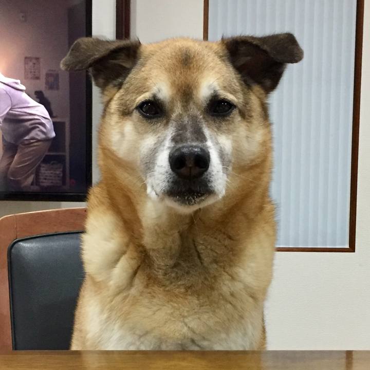 Ab930747 af98 40c0 a713 ad53469d0e95 1587807151687