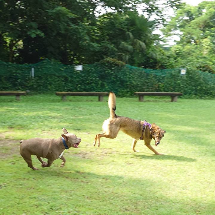 Ab930b1f cfe1 42bd 93c8 b7c46f55c6ec 1752034506330