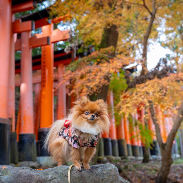 Ab931bba 74b4 4738 bf39 e83b450354c9 1546591401152