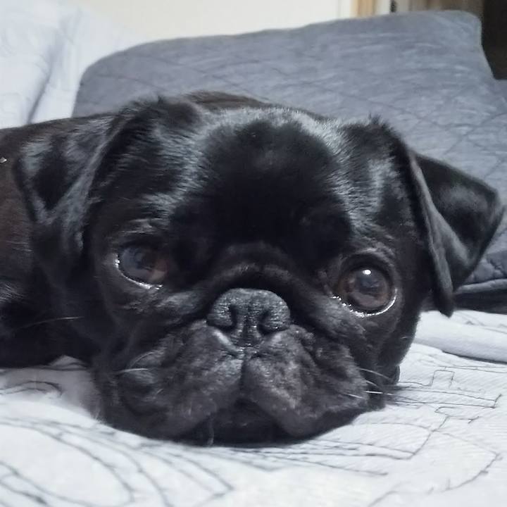 Ab932074 8f53 4d56 a1ea 1c28b3d46562 1754277407175