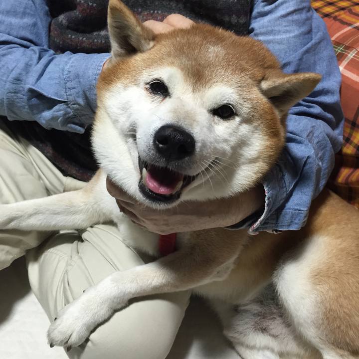 Ab932a7f 37e8 4c91 8622 b0ce01dce9d3 1547723957591