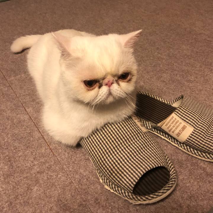 Ab933a02 3bf5 4896 bf60 153e97a39bbb 1599994592774