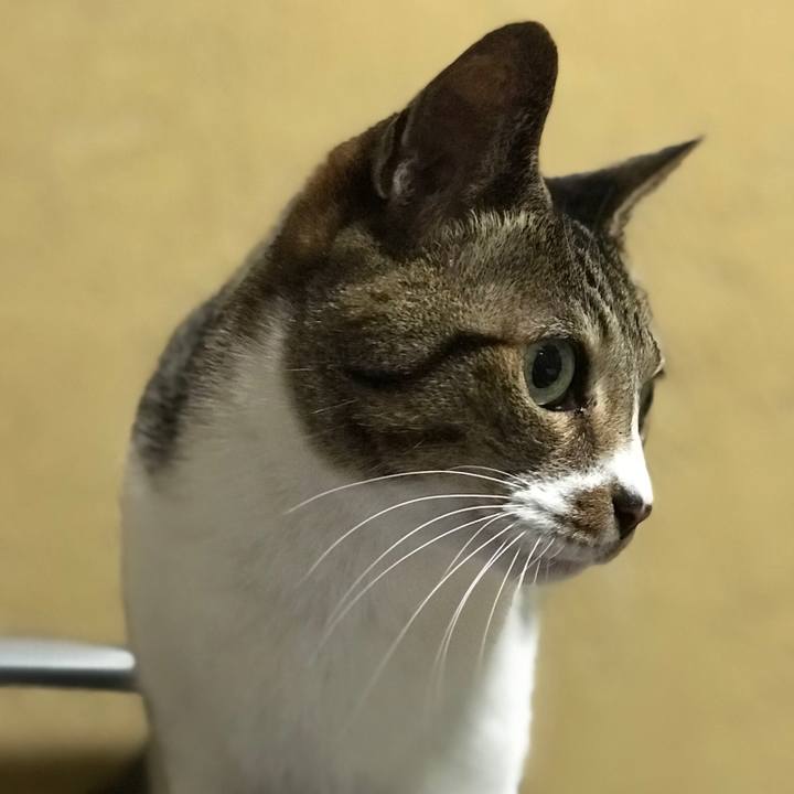 Ab9355c7 a6a6 44a7 af12 ebbfebd0cca8 1515373893886