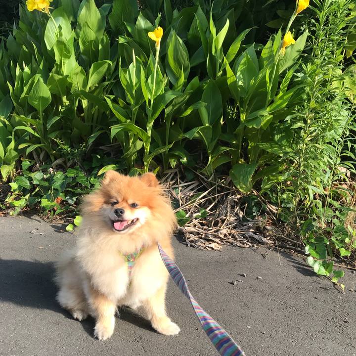 Ab935768 72a3 4e58 9193 0f38ebf3c4f1 1531524499289