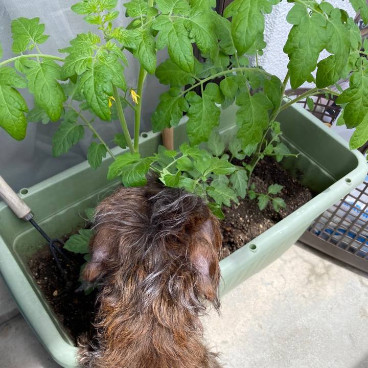 Ab935eeb ee53 4888 ab44 dd57c69165e9 1588905795940