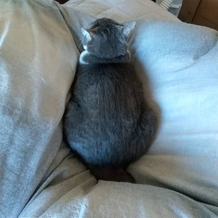 Ab93a668 c72f 4863 ad7e 3fbe10b2d46b 1638068996372