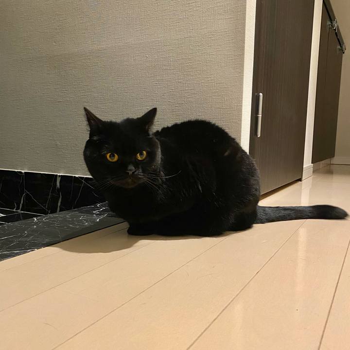 Ab93a6f9 6a05 4a76 859b 7070bca455a5 1707215436322