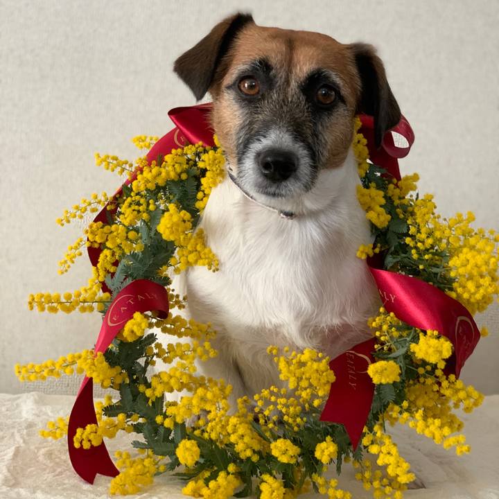 Ab93d1c9 614b 47c2 8c95 bd8a91277aba 1582514753842