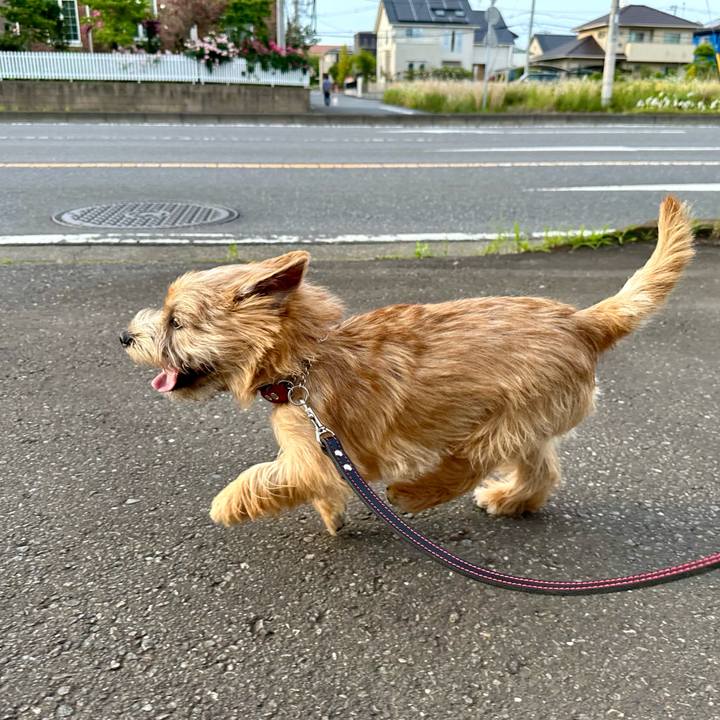 Ab93ef54 32bd 43a1 81d9 2da3ba3fdb0d 1716562139844