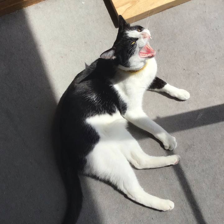 Ab941a04 26d8 4ad9 8440 7da306b4dd08 1649217159189