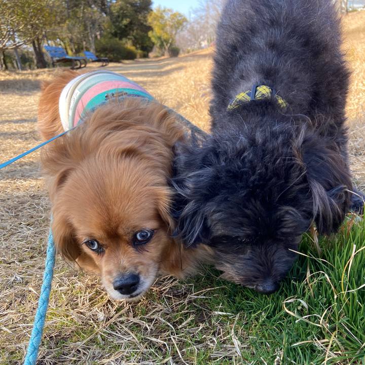 Ab941ad7 7720 486b 9c9e 8d4d42a85140 1646011797358