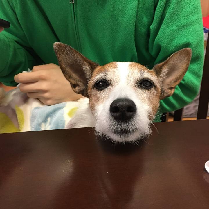 Ab942b58 0df7 4252 ad99 391dab4ff574 1610494651297