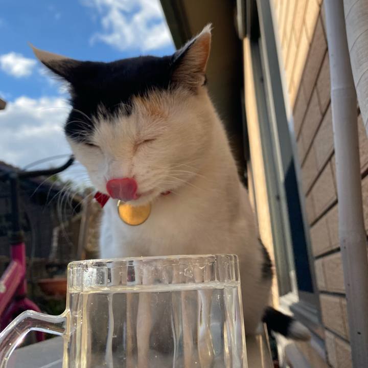 Ab943a13 a77c 46bd 8280 64e0aaa10c77 1639392218431