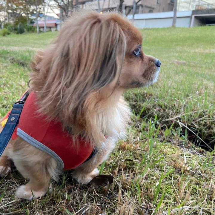 Ab9455b3 5e3c 444b 9bed 395bc941eeb5 1635457062610