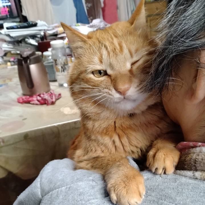 Ab9482b7 b115 4883 921c 4b1729672846 1742459759759