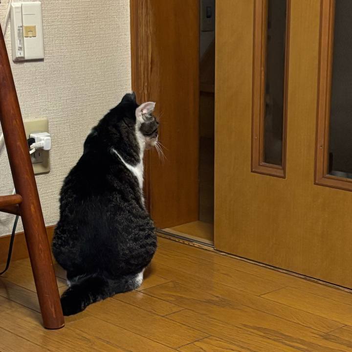 Ab94a288 5546 490b 813b 9e84b7974256 1757680795876