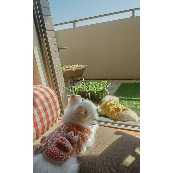 Ab94a37f c0e5 4d5c 825f 6971a76c829d 1645847724835