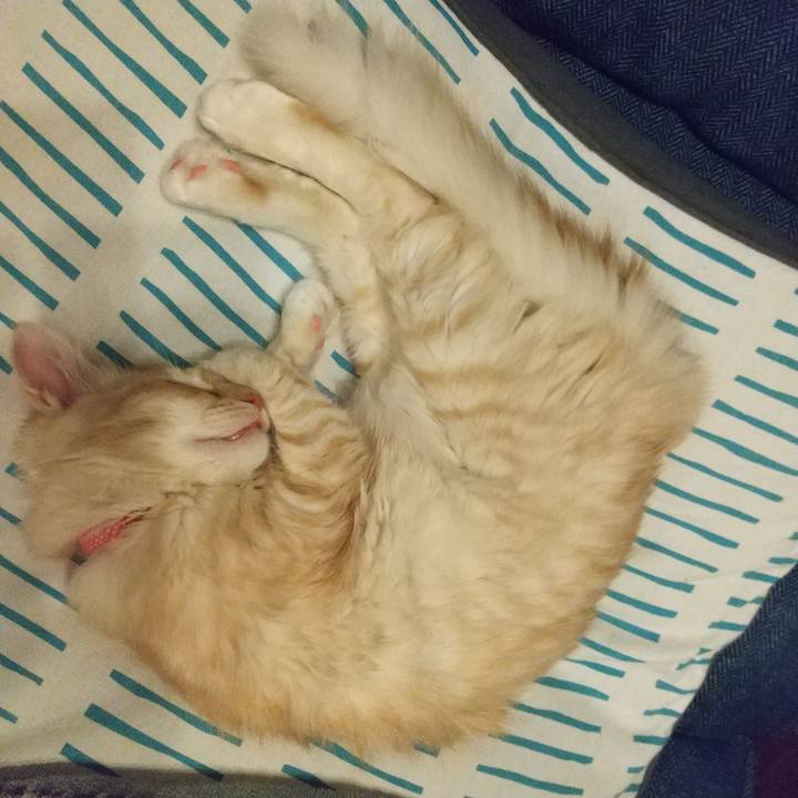 Ab94ae68 7182 4d4f 816a 57eac9744798 1609677102464