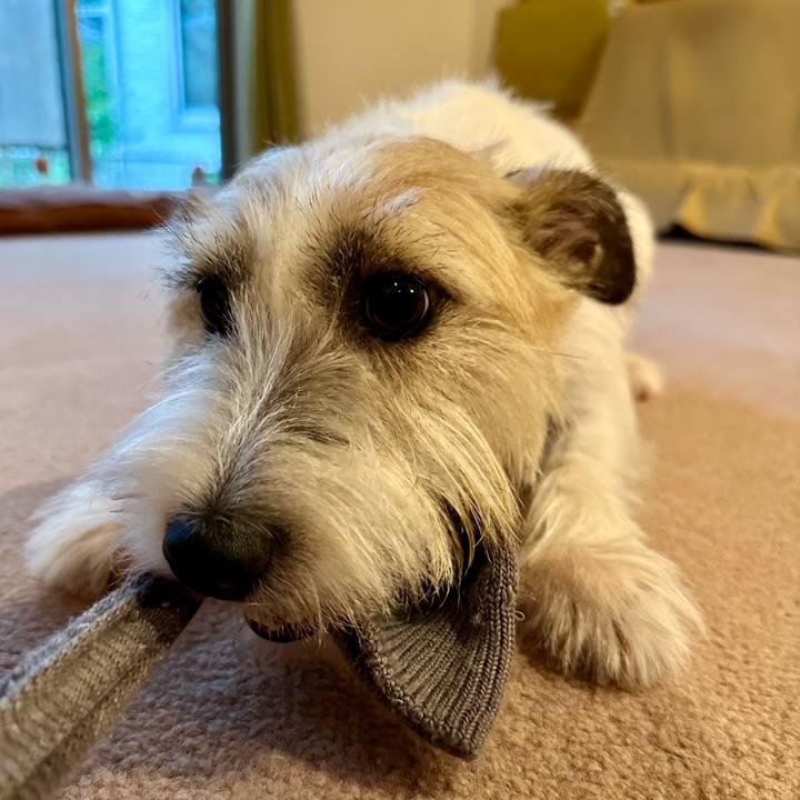 Ab94cce6 57a5 477a 8128 b737a179f6b3 1754920859113