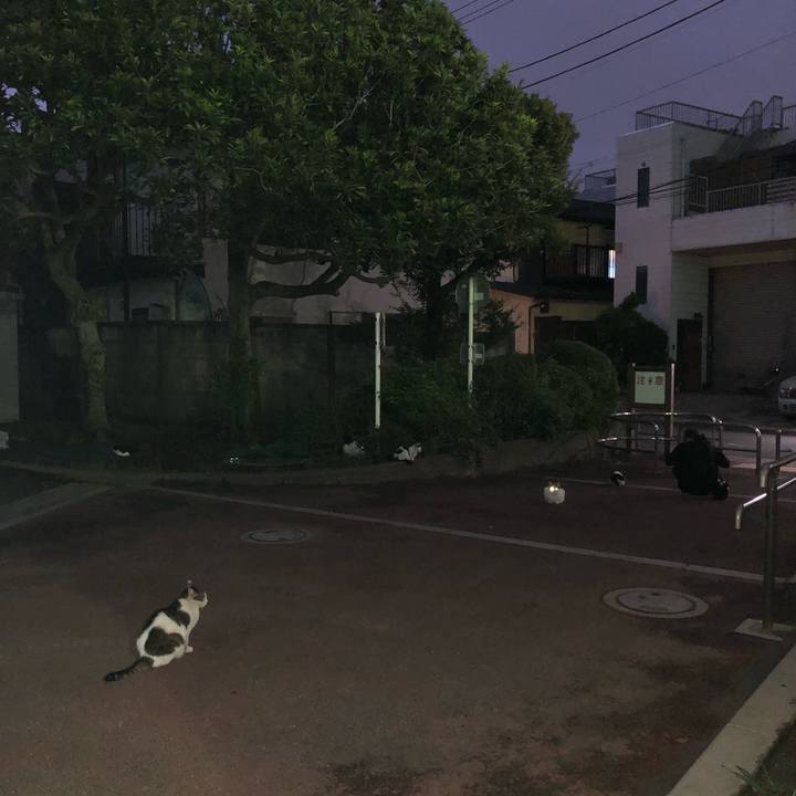 Ab94dab8 8cbf 4126 8f74 54398c82d689 1535891765370