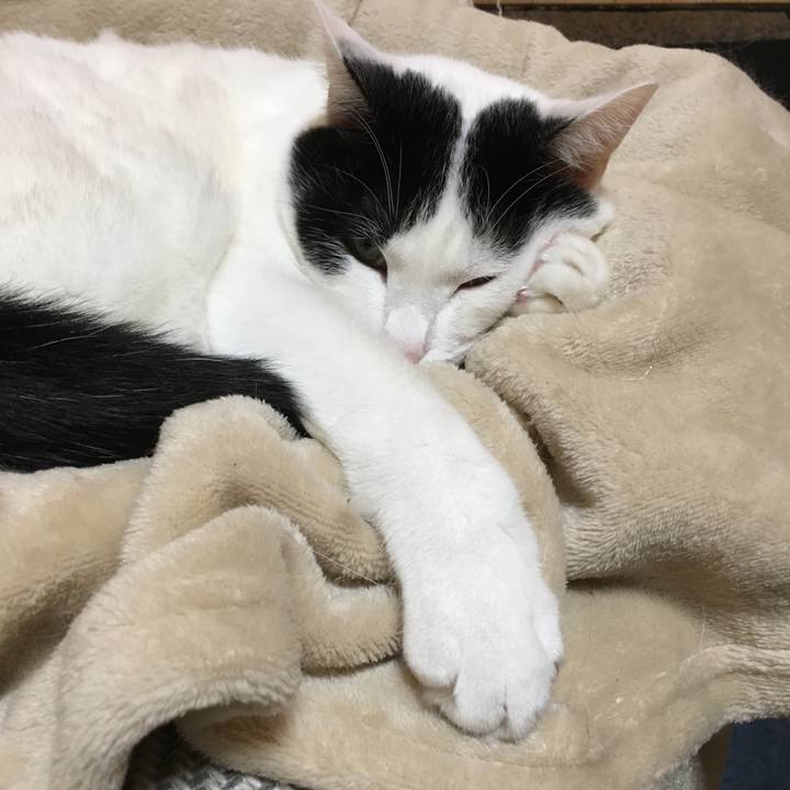 Ab952faf 04e8 416c bf0f 732a3f0ee8f7 1509450425196