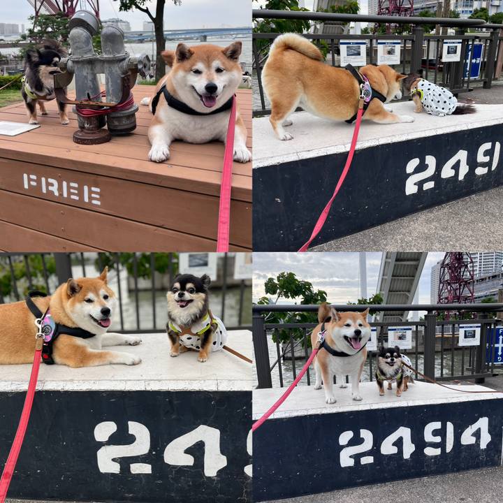 Ab956049 6127 446f b695 10ed921030d9 1685881824552