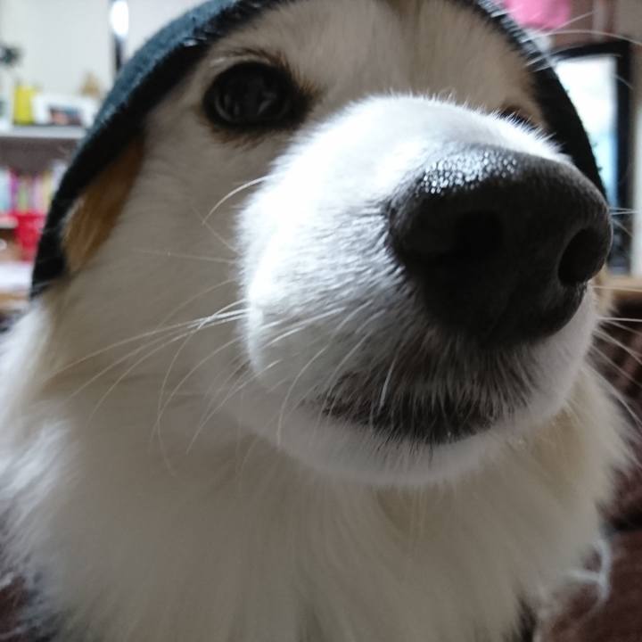 Ab9591f7 635d 47c4 919a 1a12dd882ff8 1641525484775